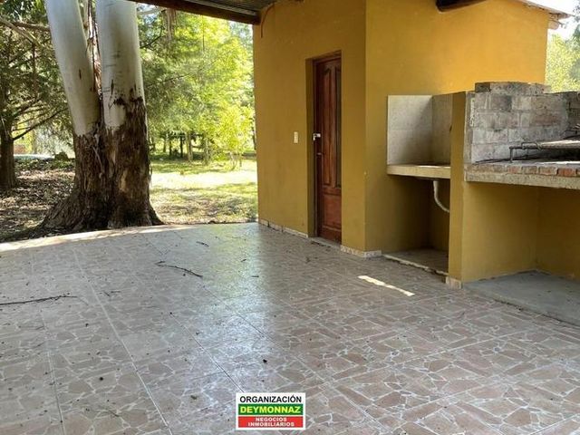 place photo 43