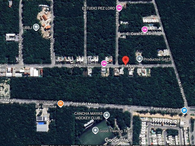 place photo 5