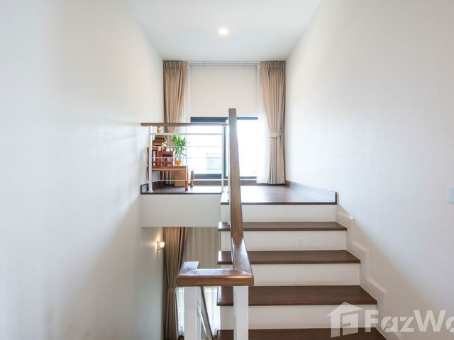 place photo 49