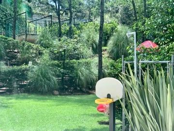 place photo 42