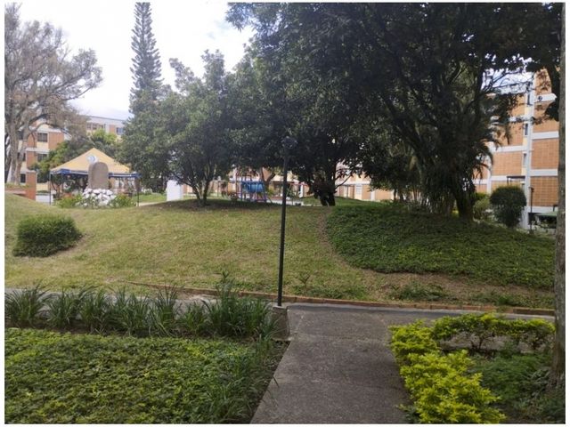 place photo 26