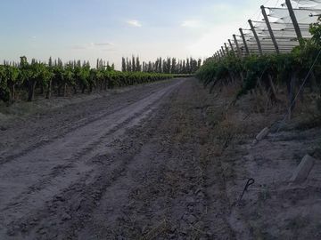 place photo 41