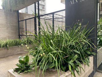 place photo 33