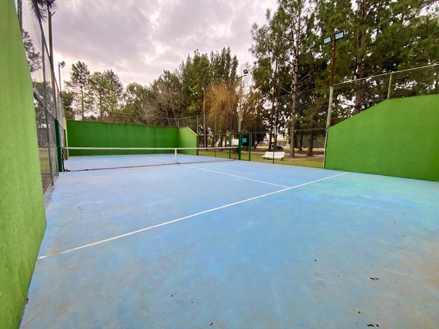 place photo 43