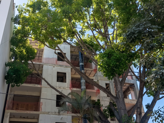 place photo 20