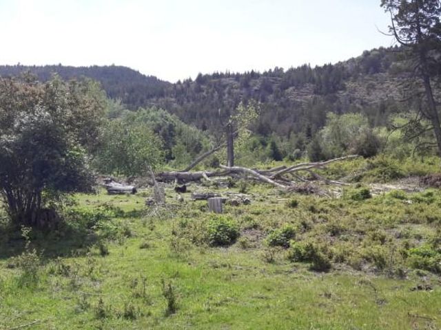 place photo 29