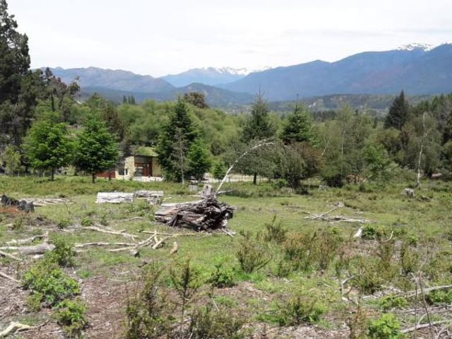 place photo 23