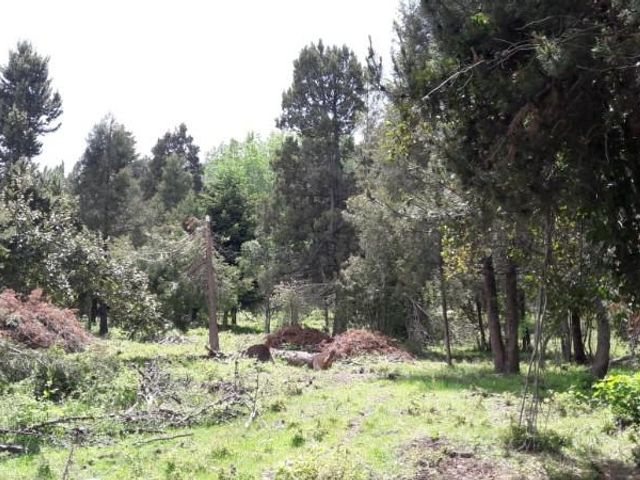 place photo 32