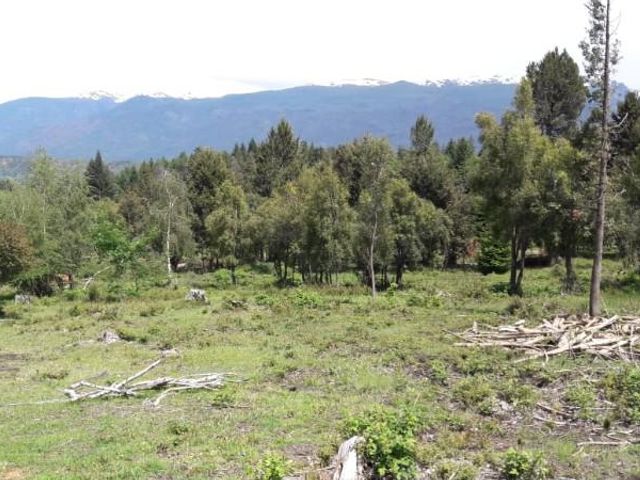 place photo 30