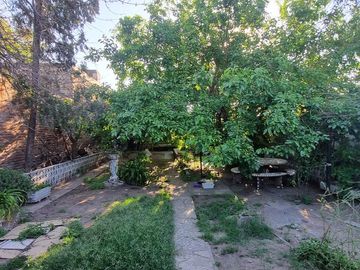place photo 17