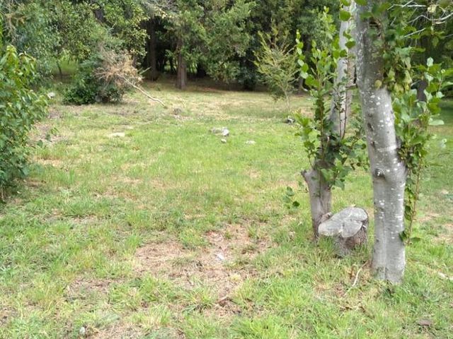 place photo 32