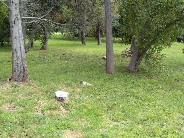 place photo 33