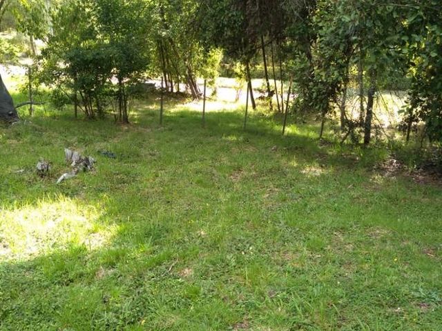 place photo 34