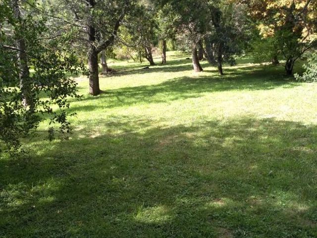 place photo 31