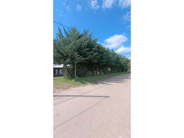 place photo 26