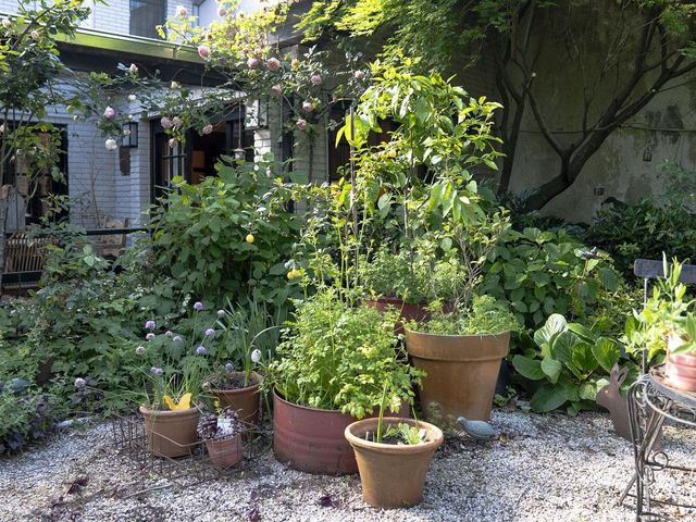 place photo 21