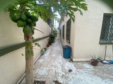 place photo 15