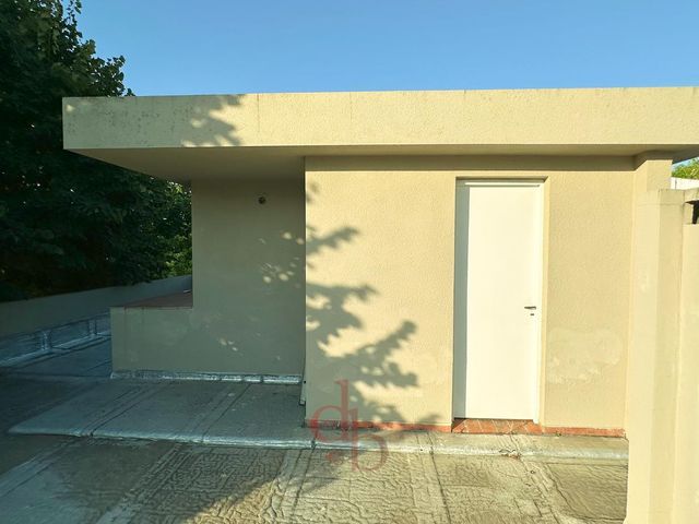 place photo 40
