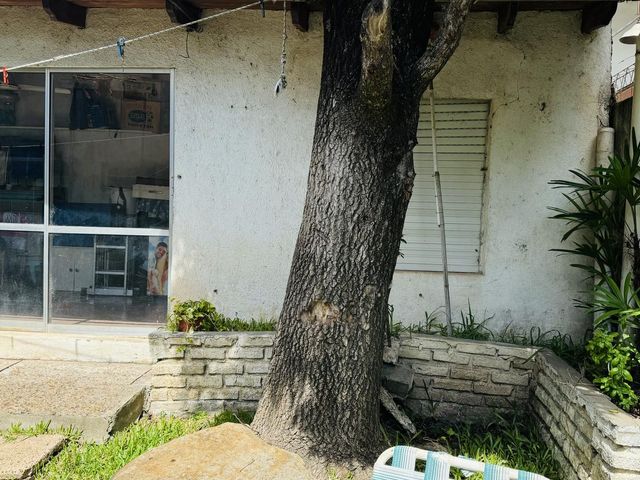place photo 32