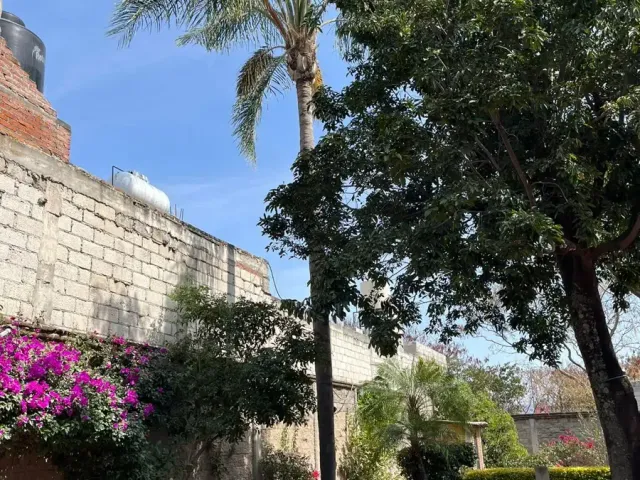 place photo 29