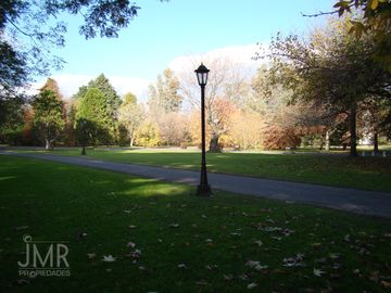 place photo 37