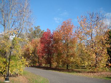 place photo 40