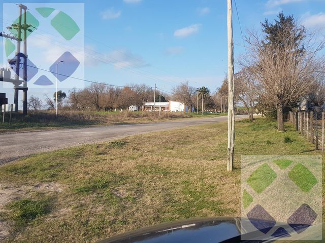 place photo 12