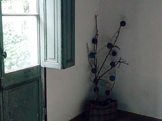 place photo 40