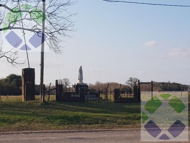 place photo 37