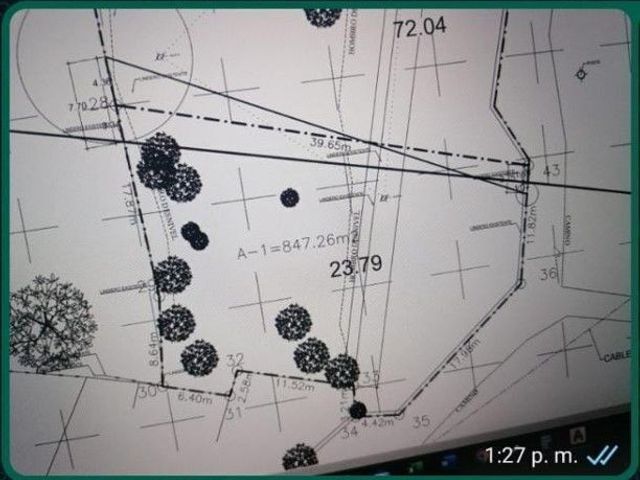 place photo 29