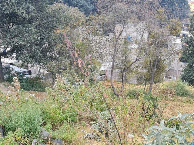 place photo 40