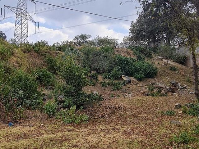place photo 31