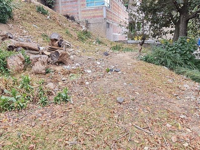 place photo 21