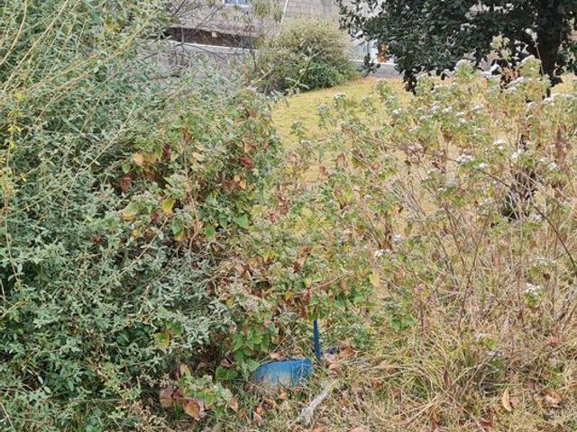 place photo 34