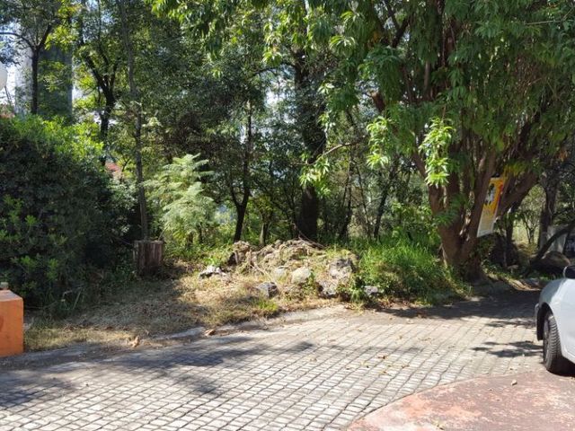 place photo 17