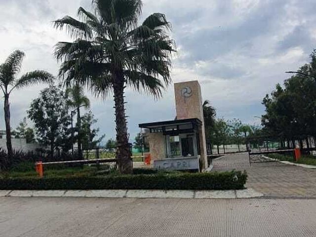 place photo 14