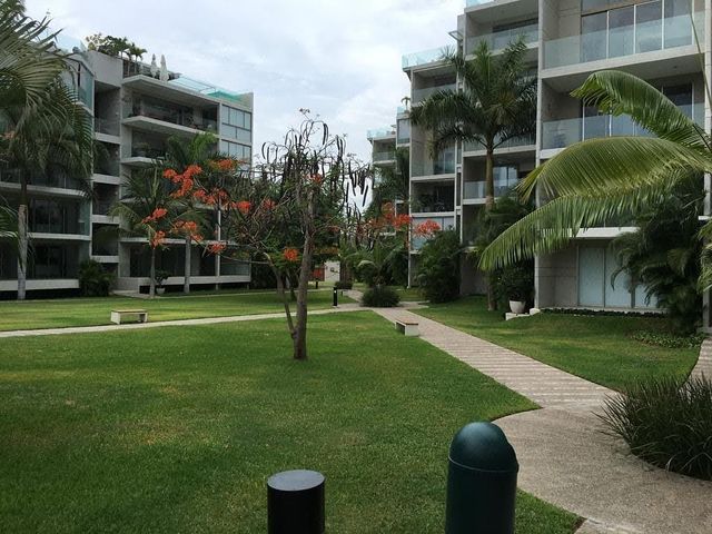 place photo 31