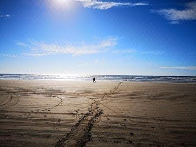 place photo 34