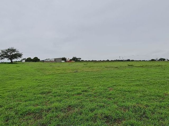 place photo 29