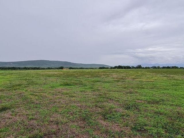 place photo 34