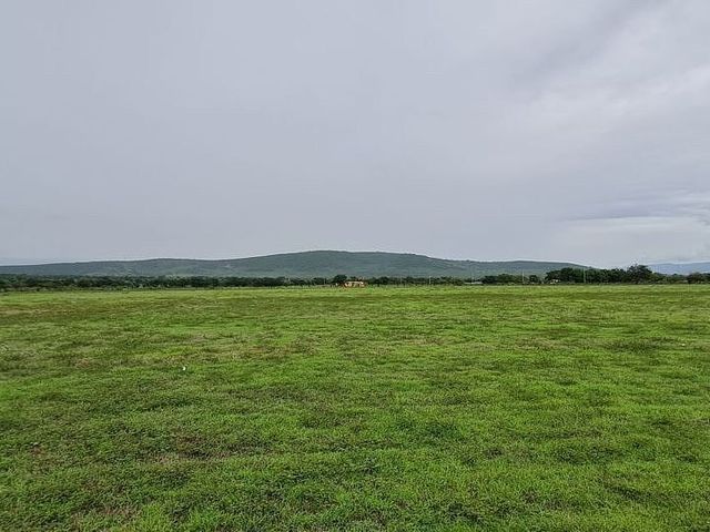 place photo 37
