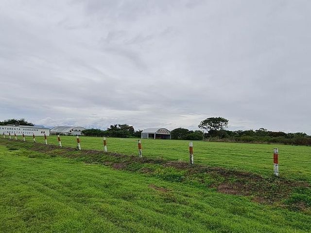place photo 39