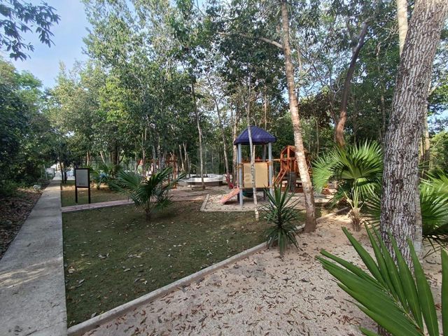 place photo 24