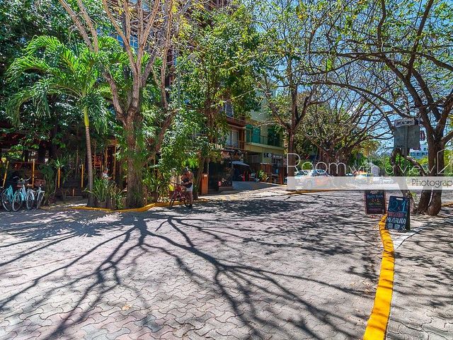 place photo 35