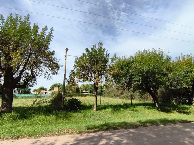 place photo 8