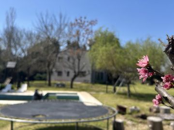 place photo 33