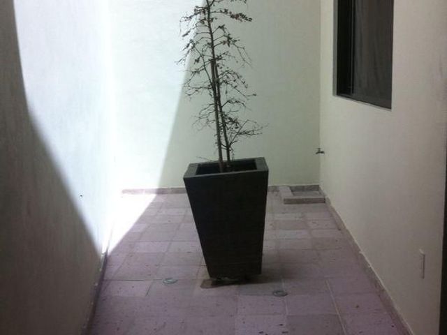 place photo 41