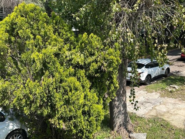 place photo 34