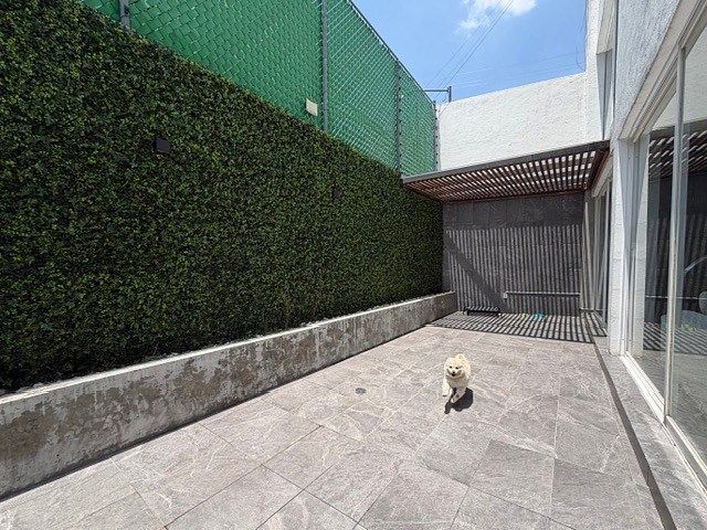place photo 37