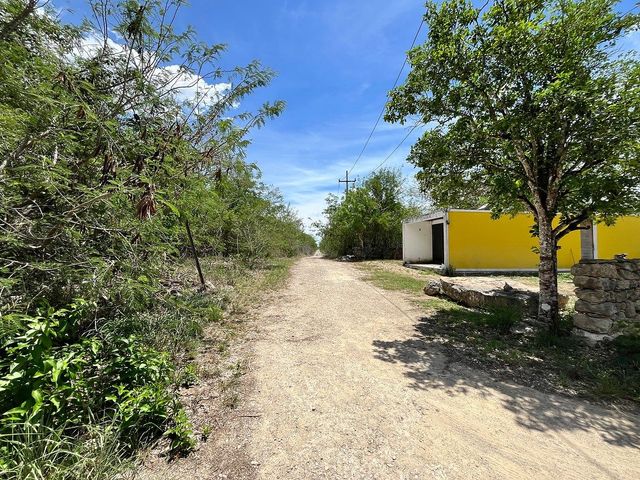 place photo 14